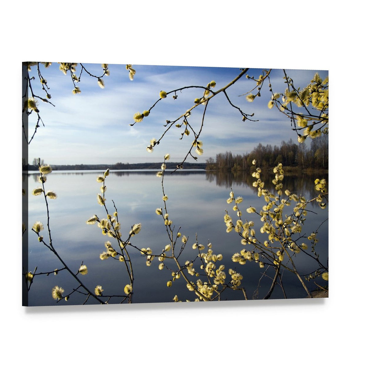 Lake in Spring Canvas Wall Art, single panel gallery wrapped canvas, angled product view