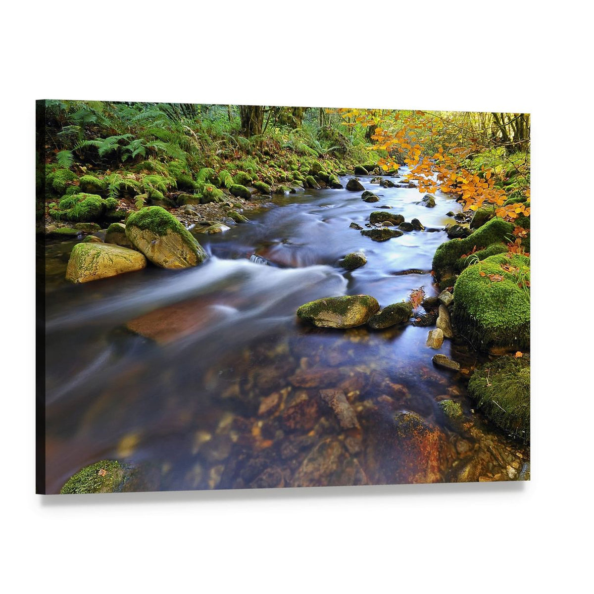 Autumn Stream in the Woods Canvas Wall Art, single panel gallery wrapped canvas, angled product view