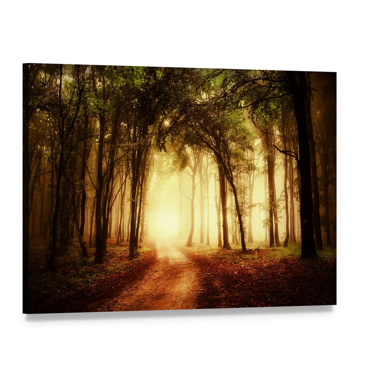 Sunlit Road Through a Golden Autumn Forest Canvas Wall Art, single panel gallery wrapped canvas, angled product view