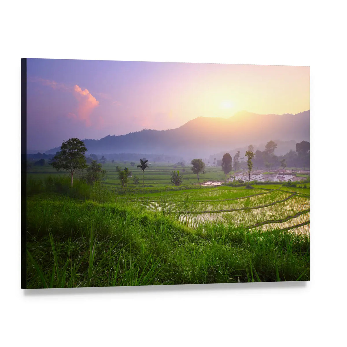Rice Terrace Valley at Sunrise Canvas Wall Art, single panel gallery wrapped canvas, angled product view