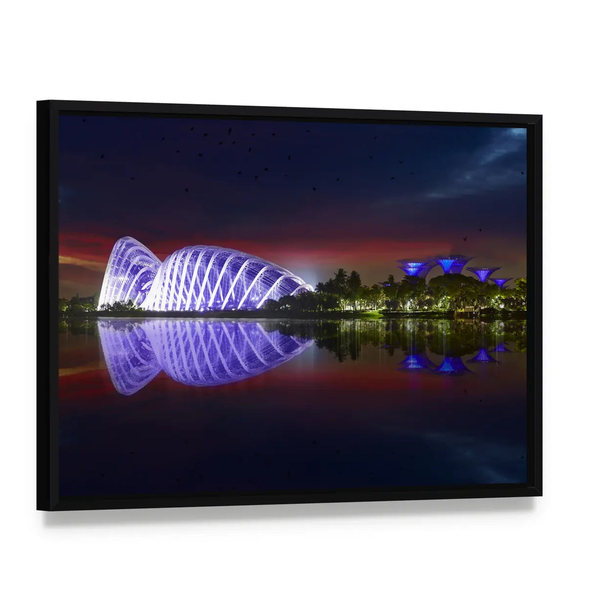 Singapore Gardens by the Bay Night Reflection Canvas Wall Art, framed canvas in a black floater frame, angled product view