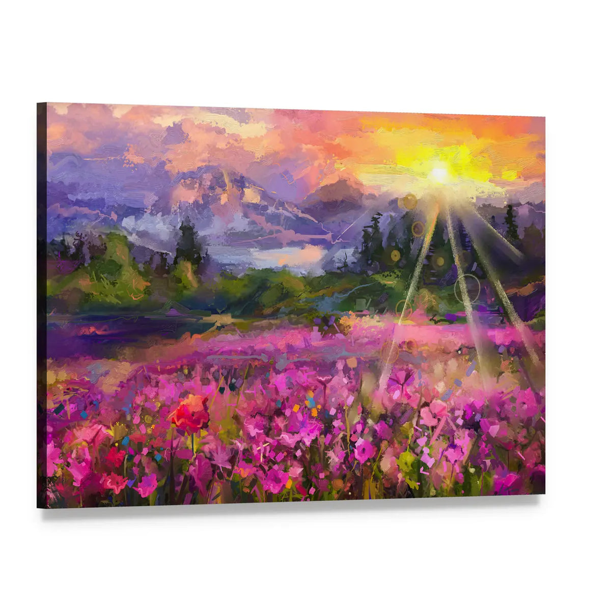 Purple Cosmos Meadow at Golden Hour Canvas Wall Art, single panel gallery wrapped canvas, angled product view