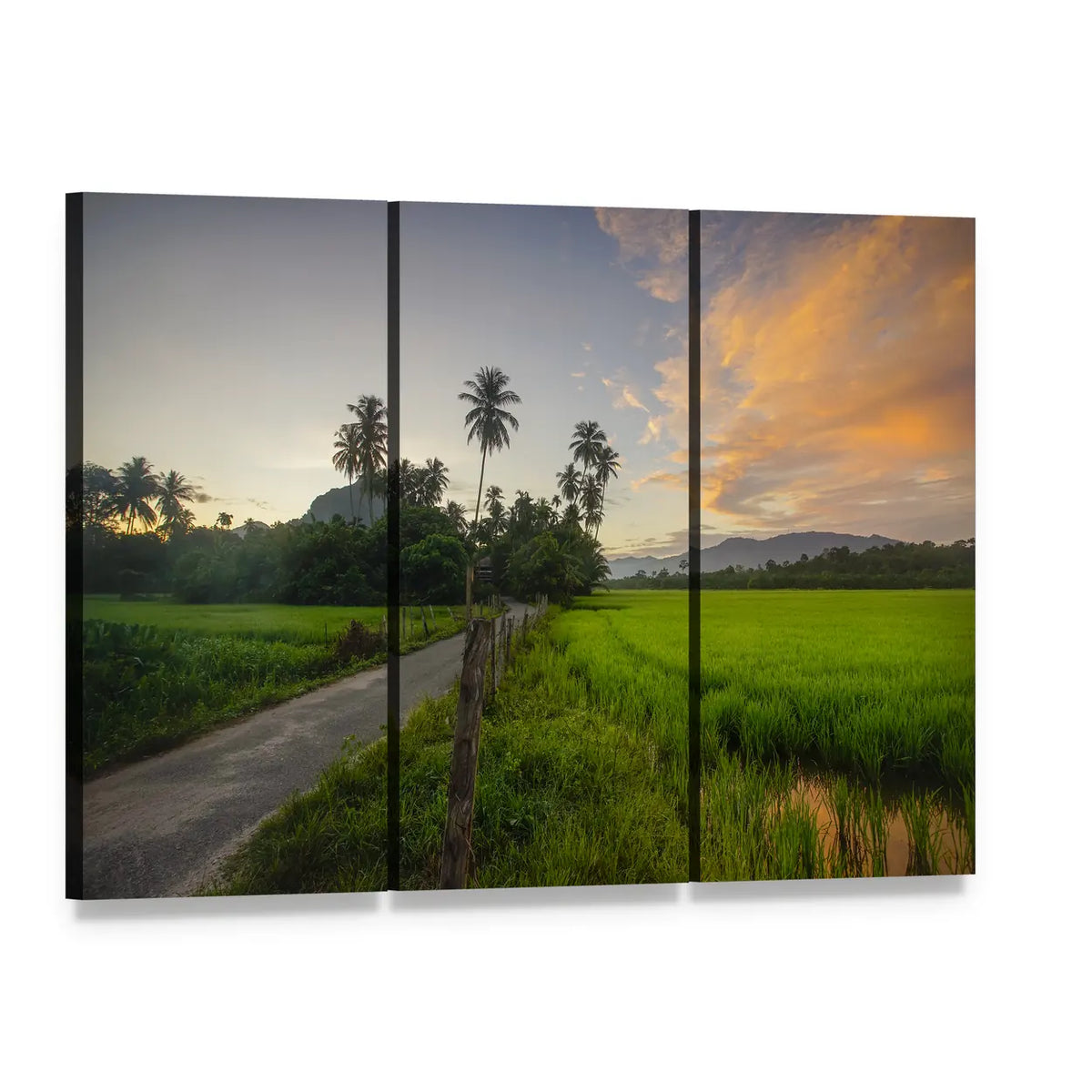 Village Paddy Fields at Sunrise Canvas Wall Art, 3 panel 3 Horizontal layout gallery wrapped canvas set, angled product view