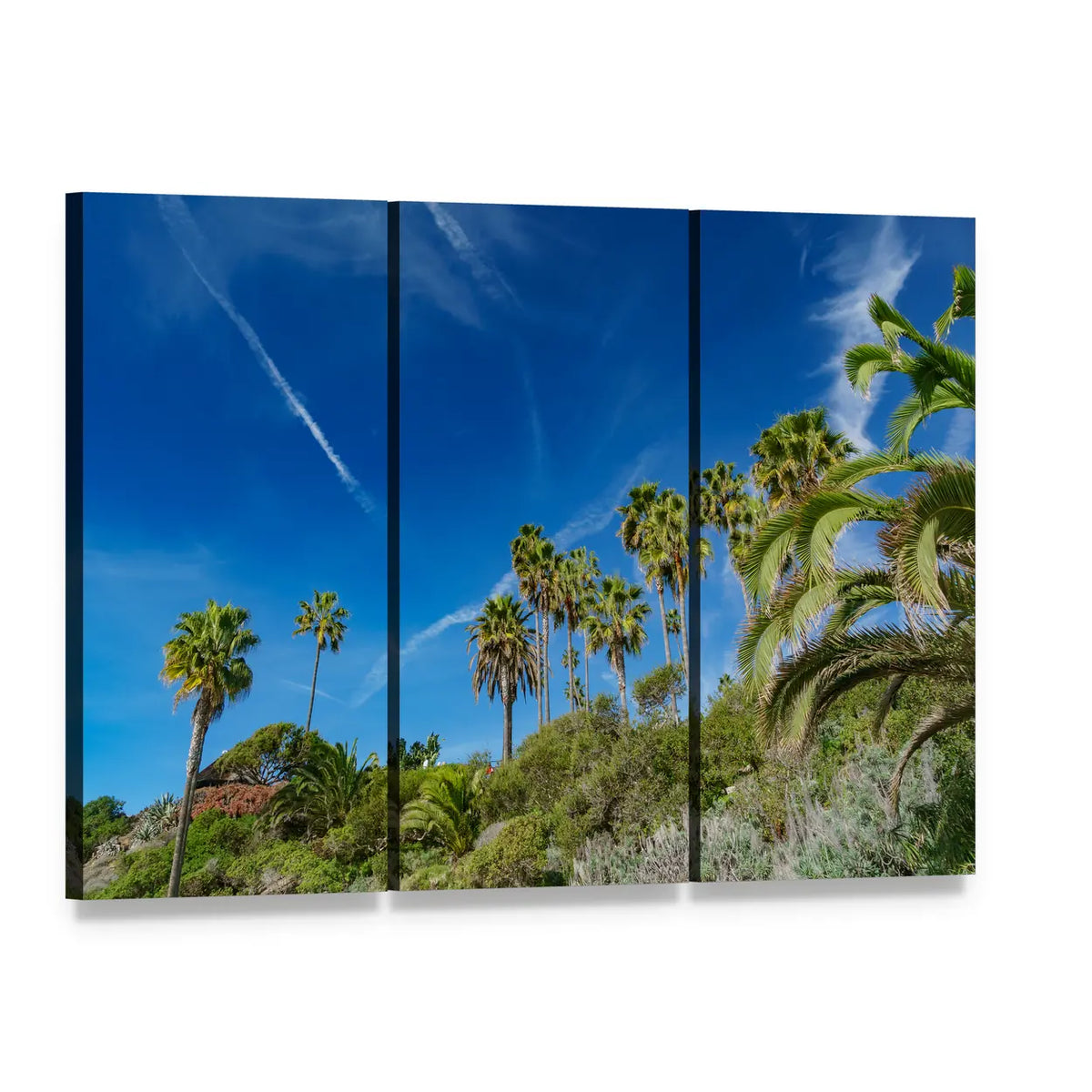 Sunny Coastal Palm Trees and Hills Canvas Wall Art, 3 panel 3 Horizontal layout gallery wrapped canvas set, angled product view