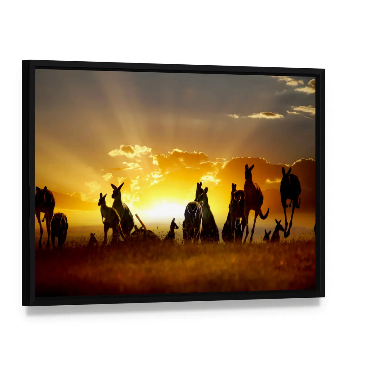 Australian Outback Kangaroos at Sunset Canvas Wall Art, framed canvas in a black floater frame, angled product view