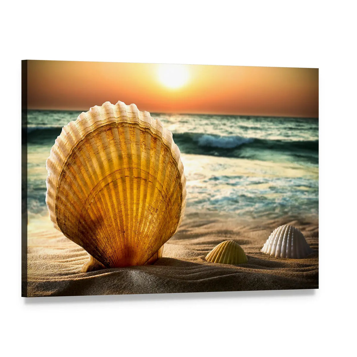Sunlit Seashells in Sand Canvas Wall Art, single panel gallery wrapped canvas, angled product view