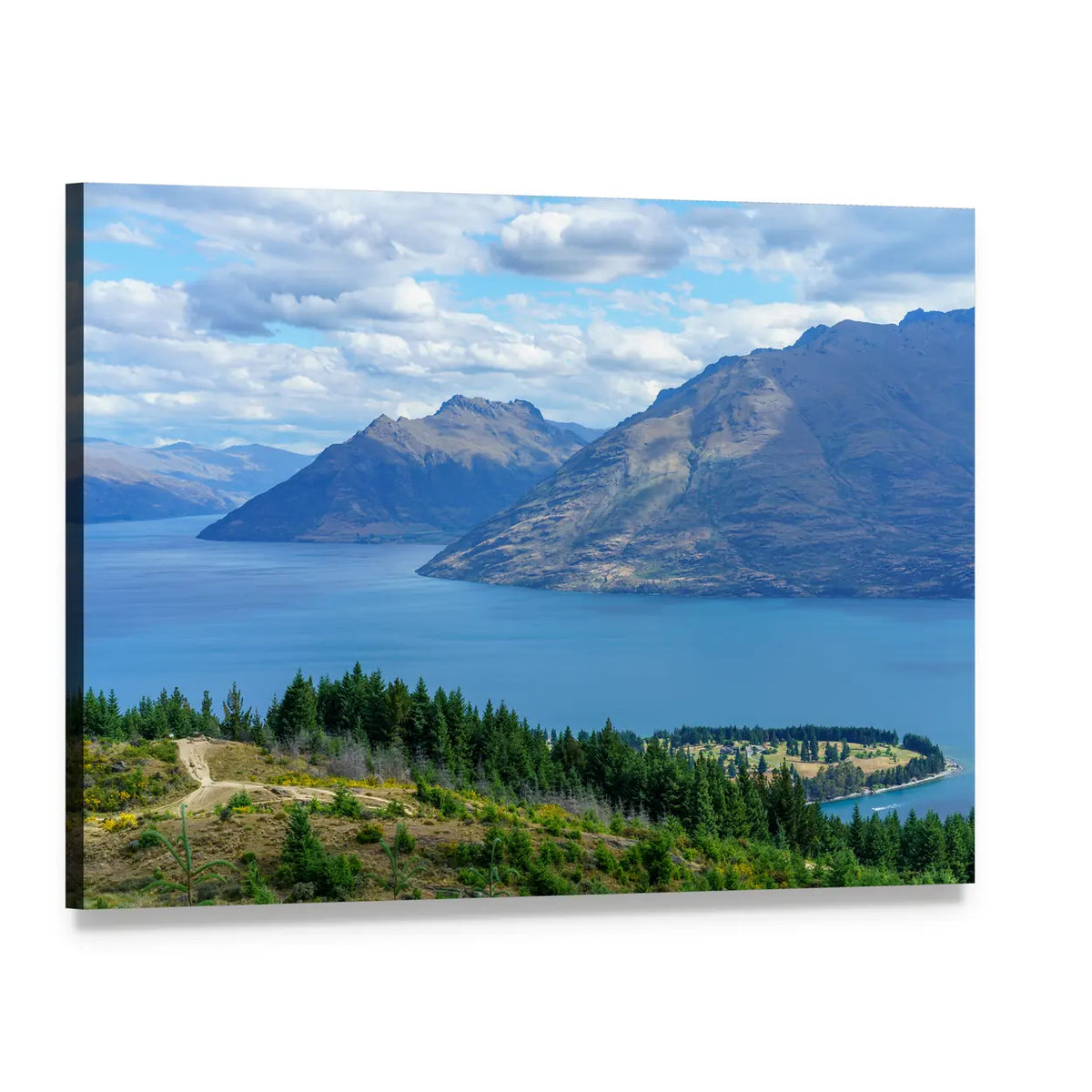 Queenstown Hill Walkway Canvas Wall Art, single panel gallery wrapped canvas, angled product view
