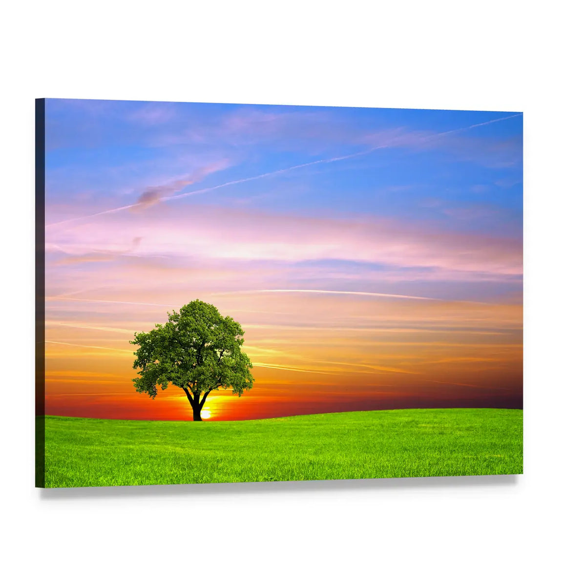 Sunset Tree Over Green Meadow Canvas Wall Art, single panel gallery wrapped canvas, angled product view