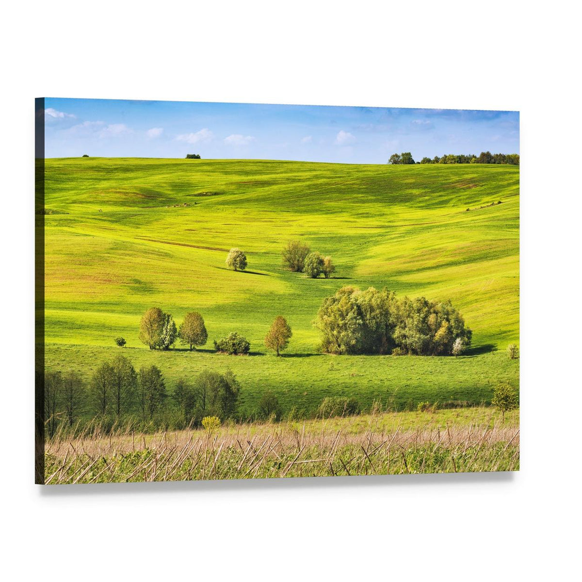 Spring Fields with Fresh Grass Canvas Wall Art, single panel gallery wrapped canvas, angled product view