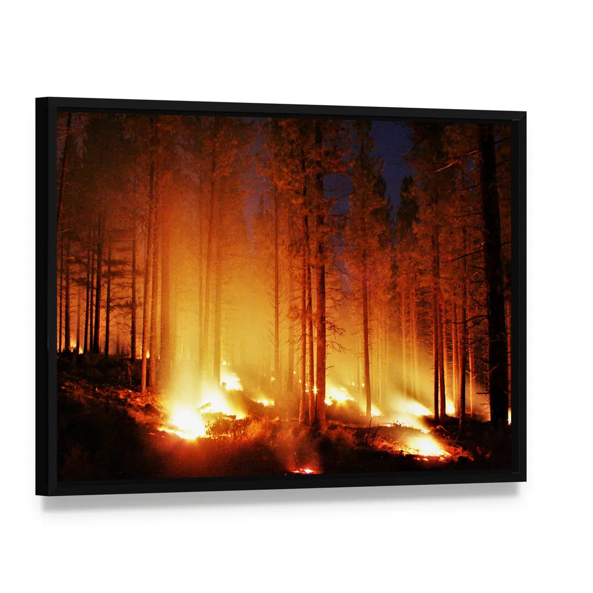 Glowing Forest Fire At Night Canvas Wall Art, framed canvas in a black floater frame, angled product view
