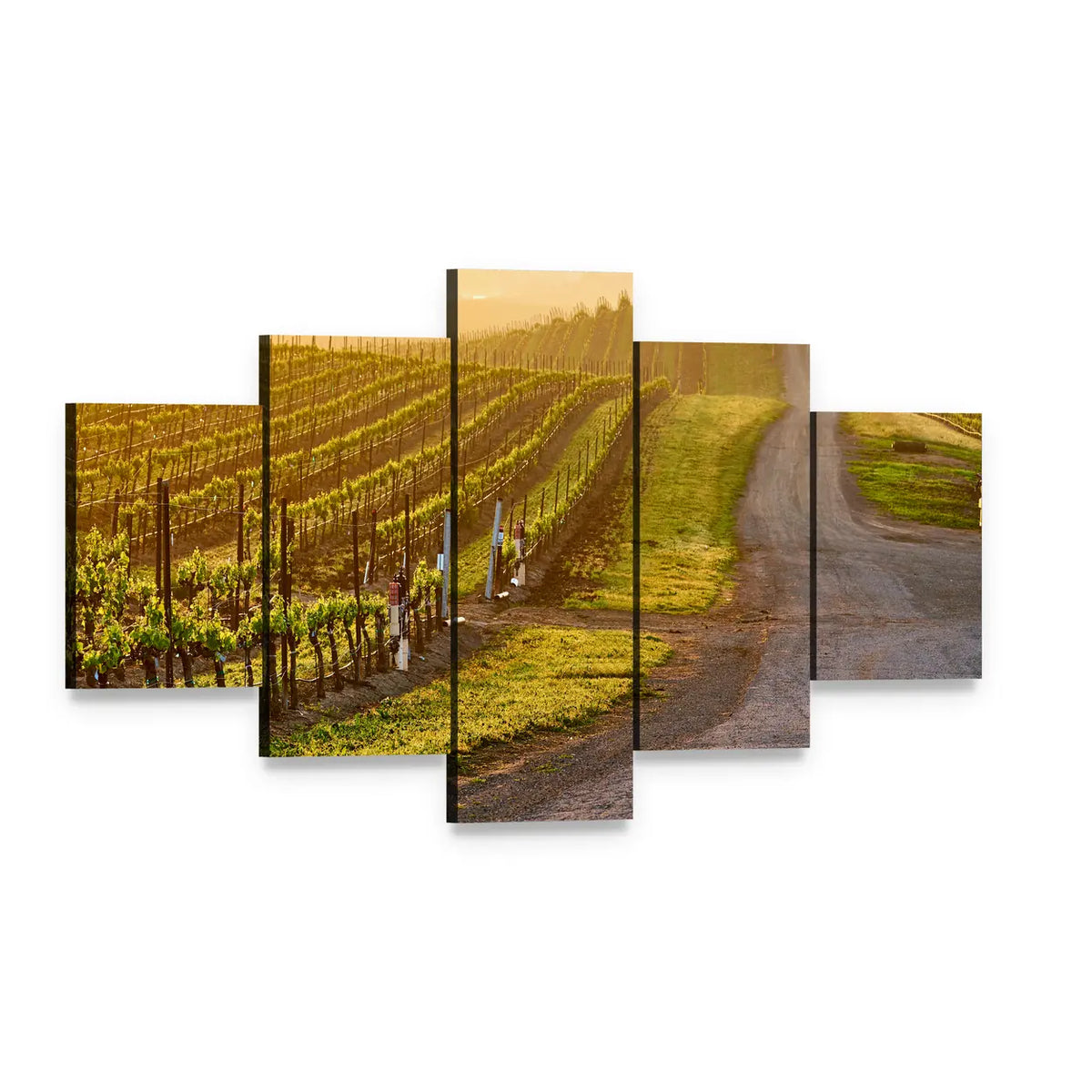 Sunrise Over Vineyard Rows Canvas Wall Art, 5 panel 5 Star layout gallery wrapped canvas set, angled product view