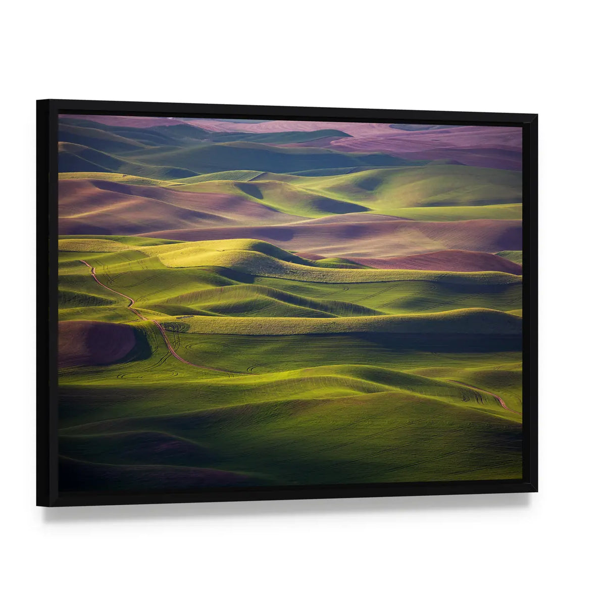 Palouse Rolling Hills at Golden Hour Canvas Wall Art, framed canvas in a black floater frame, angled product view
