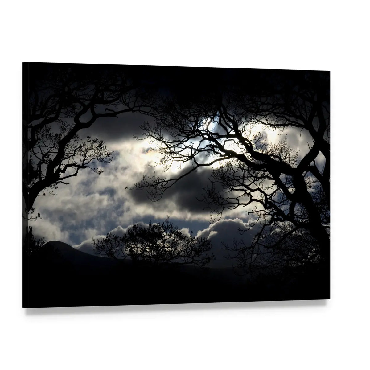 Silhouetted Trees Under Storm Clouds Canvas Wall Art, single panel gallery wrapped canvas, angled product view