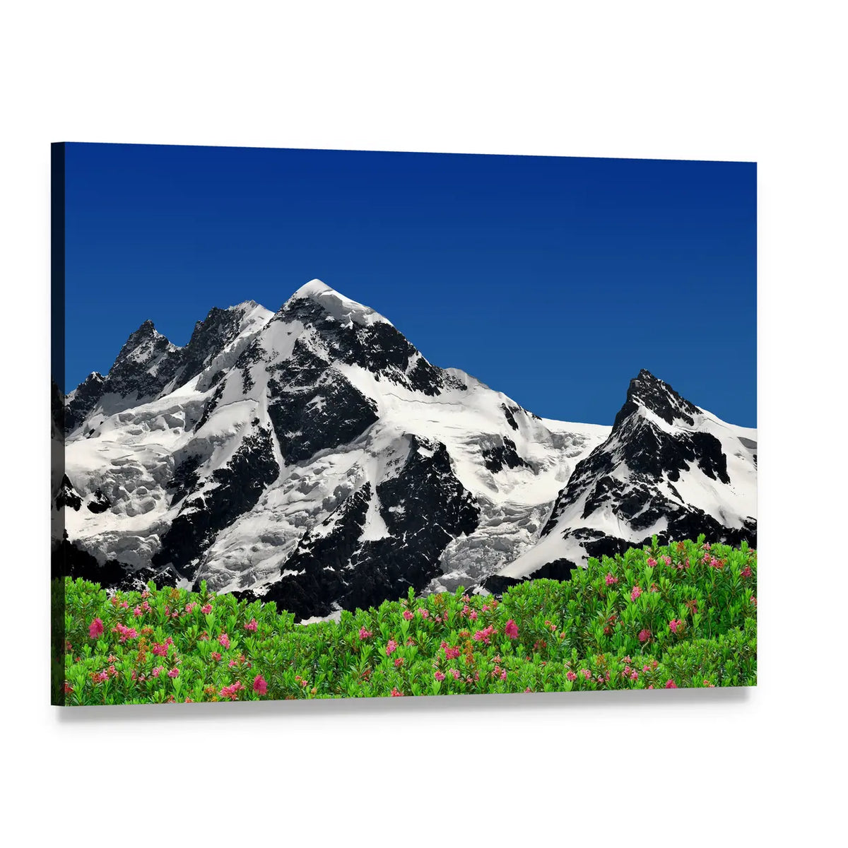 Breithorn with Pink Alpine Flowers Canvas Wall Art, single panel gallery wrapped canvas, angled product view