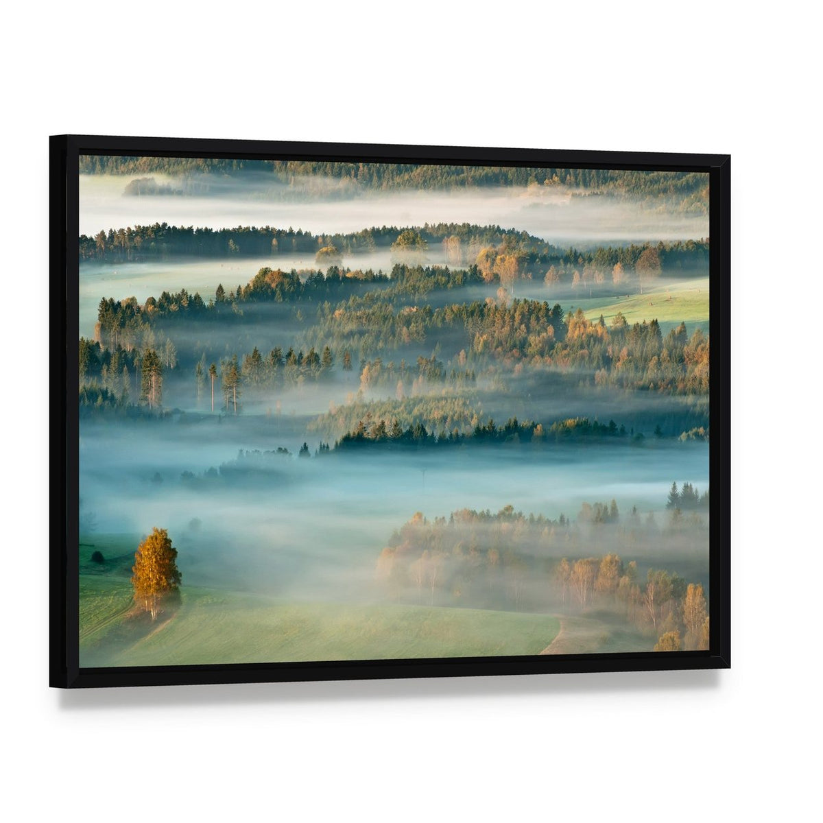 Sunrise Over the Mountains of Czech-saxony Canvas Wall Art, framed canvas in a black floater frame, angled product view