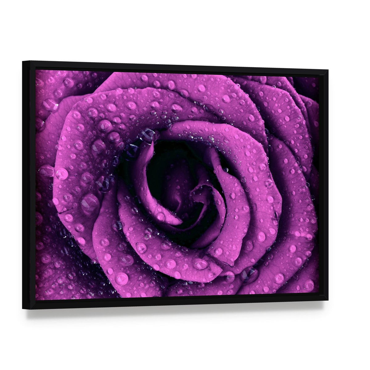 Purple Rose with Dew Drops Canvas Wall Art, framed canvas in a black floater frame, angled product view