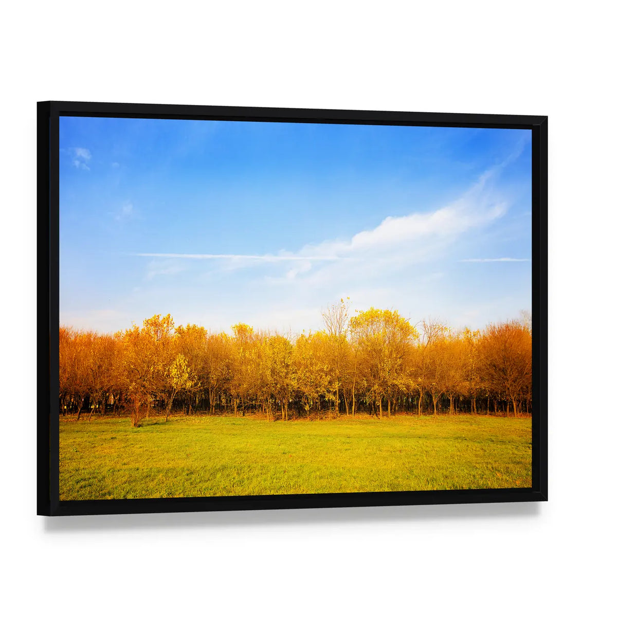 Autumn Meadow with Golden Leaves Canvas Wall Art, framed canvas in a black floater frame, angled product view