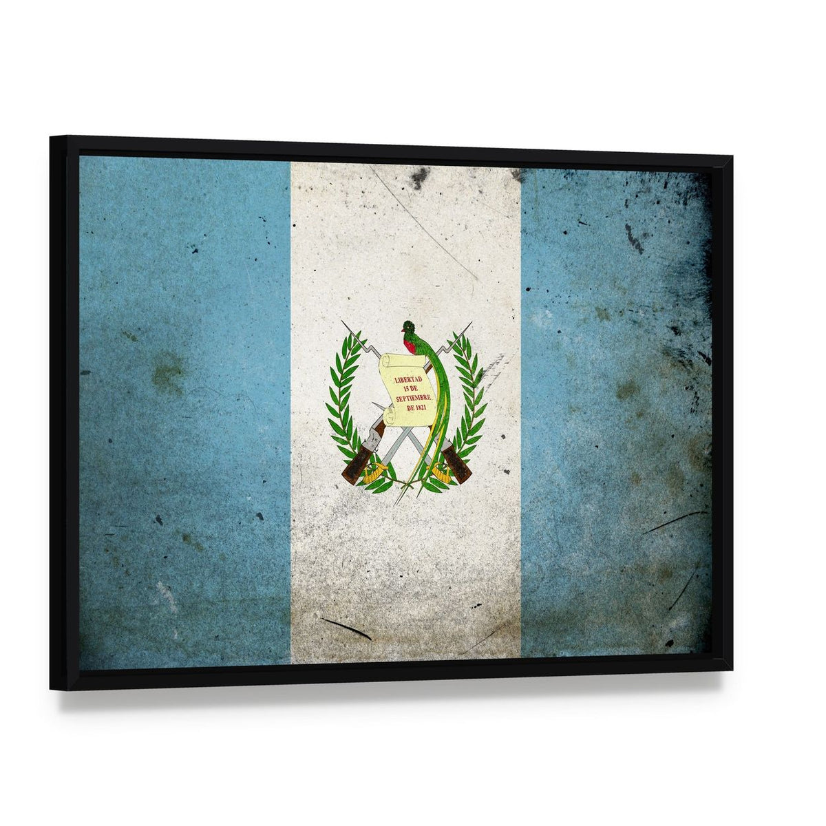 Guatemalan Flag with Quetzal Emblem Canvas Wall Art, framed canvas in a black floater frame, angled product view