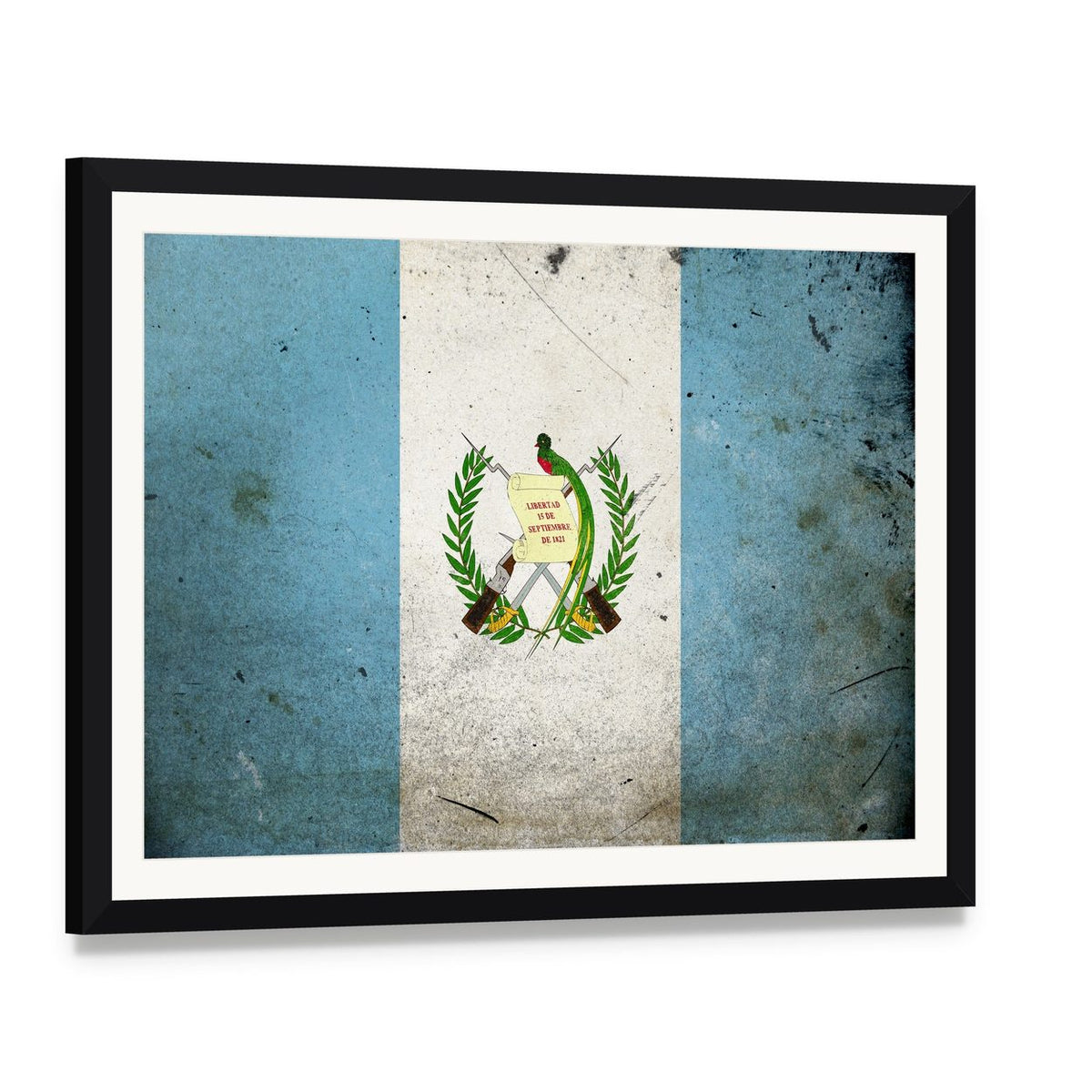 Guatemalan Flag with Quetzal Emblem Canvas Wall Art, framed print with white mat and black frame, angled product view