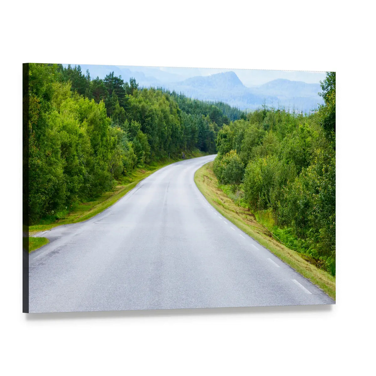Winding Road Through Lush Green Forest Canvas Wall Art, single panel gallery wrapped canvas, angled product view