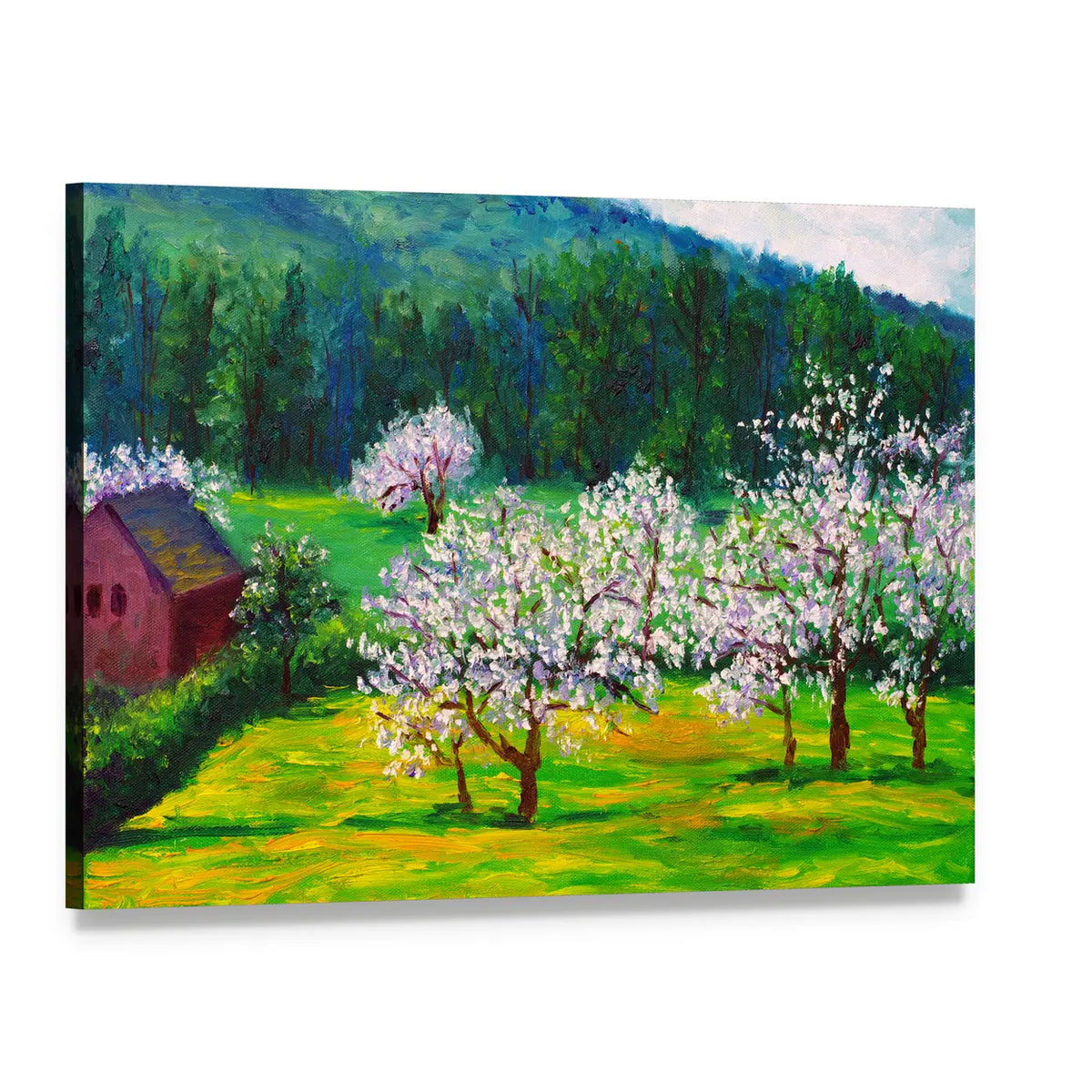 Plum Blossom Orchard with Red Barn Canvas Wall Art, single panel gallery wrapped canvas, angled product view