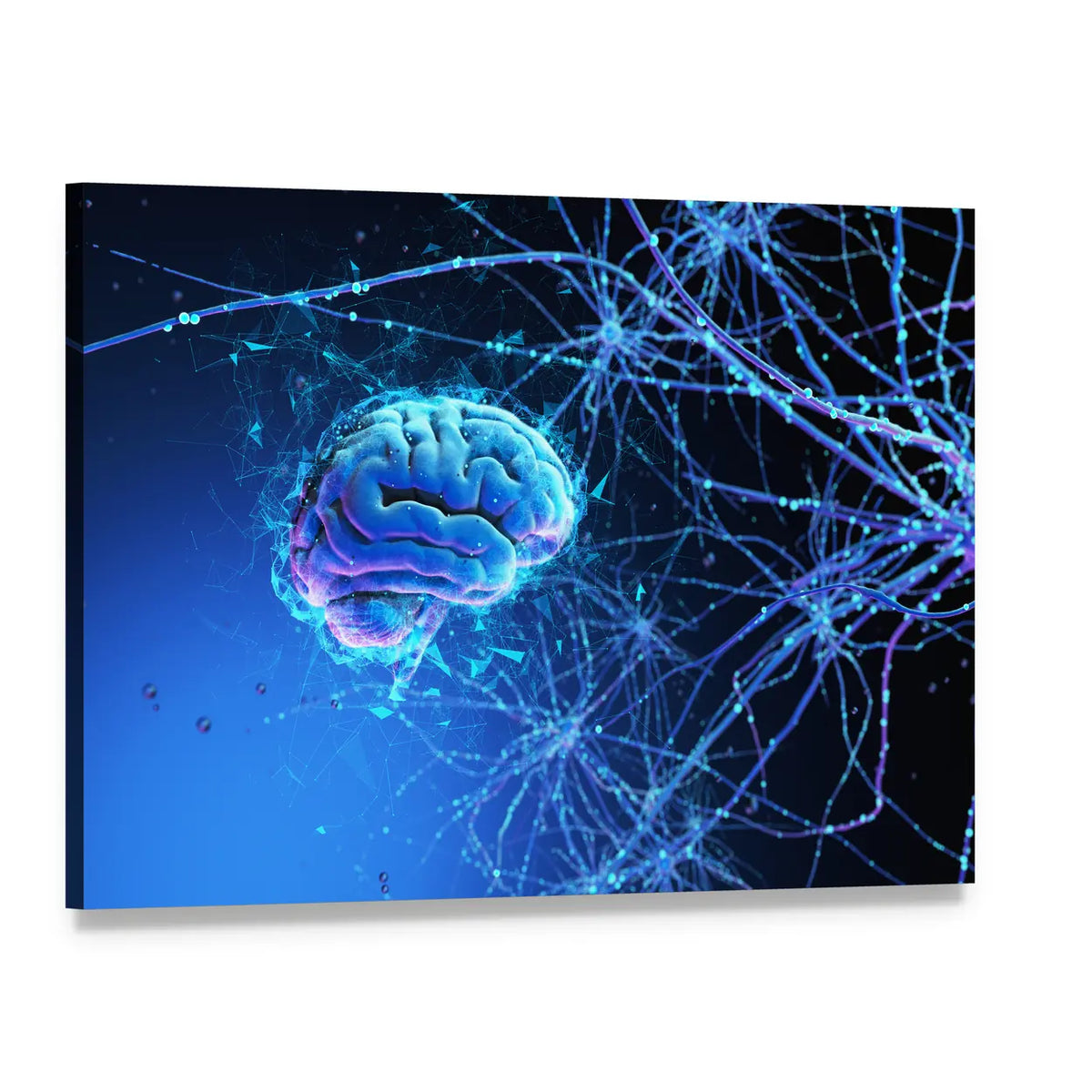 3d Human Brain with Glowing Connections Canvas Wall Art, single panel gallery wrapped canvas, angled product view