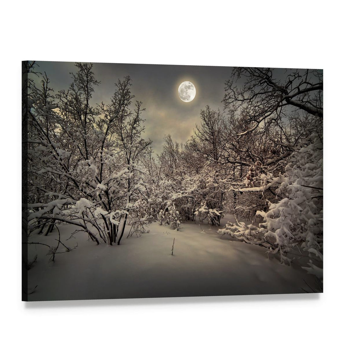 Moonlight in Snowy Woods Canvas Wall Art, single panel gallery wrapped canvas, angled product view