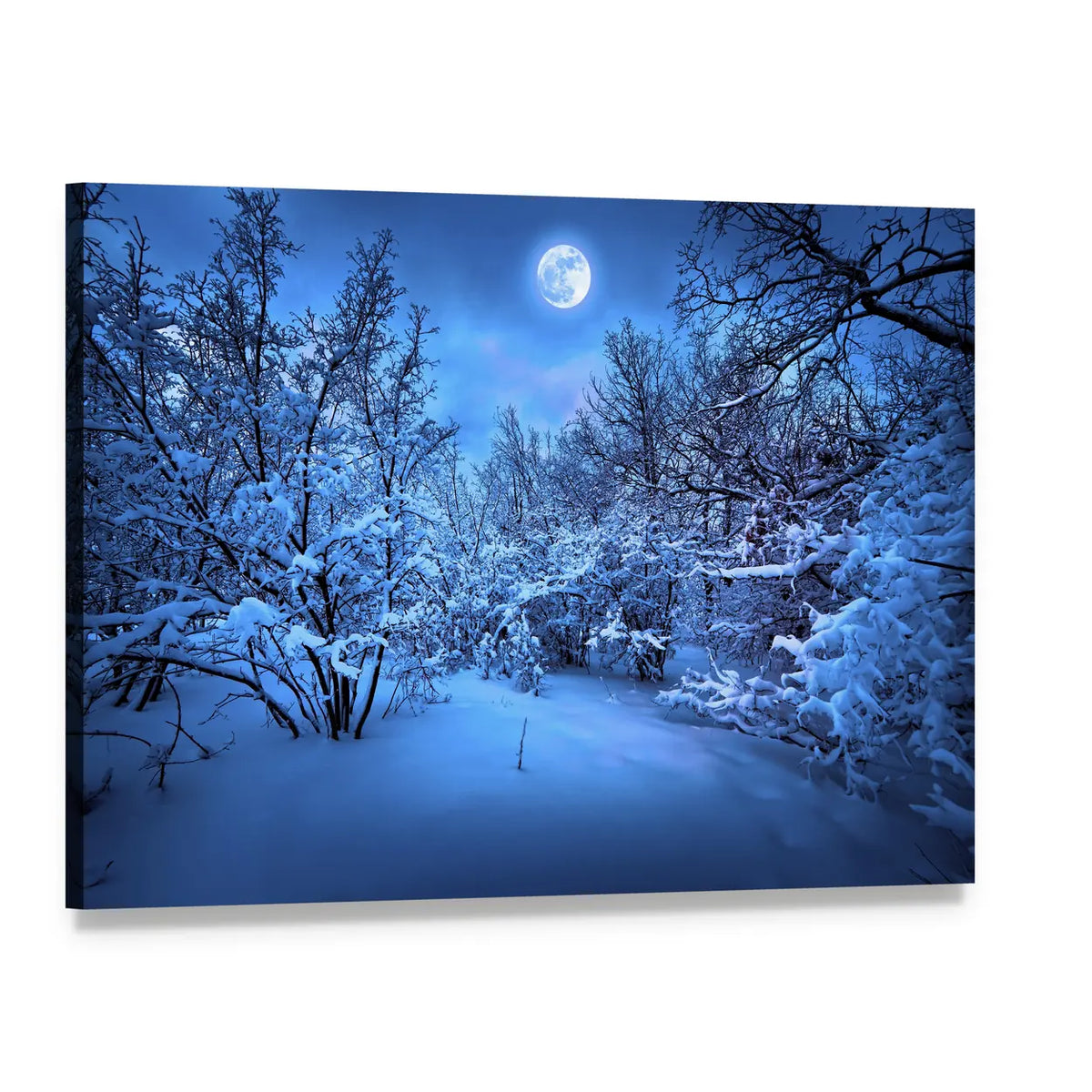 Moonlight Over Snowy Forest Canvas Wall Art, single panel gallery wrapped canvas, angled product view