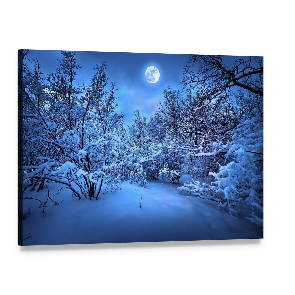 Moonlit Path Through Snowy Forest Canvas Wall Art, single panel gallery wrapped canvas, angled product view