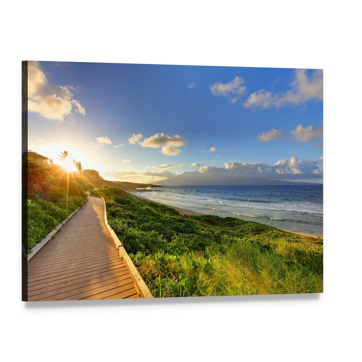 Tropical Path Near the Beach Maui Hawaii Canvas Wall Art, single panel gallery wrapped canvas, angled product view