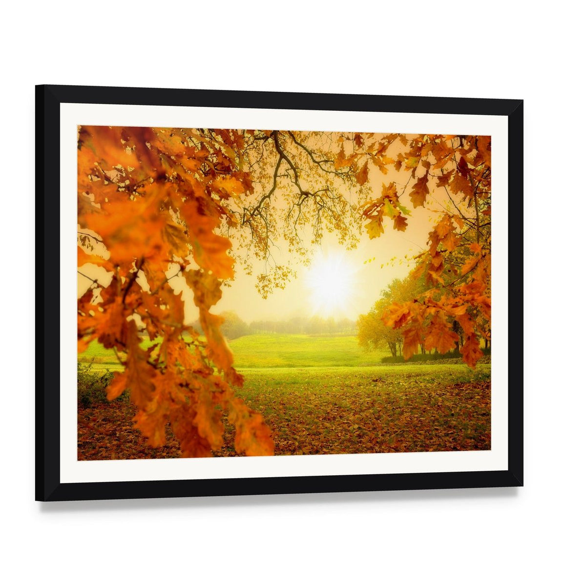 Autumn Forest with Sunlight Canvas Wall Art, framed print with white mat and black frame, angled product view