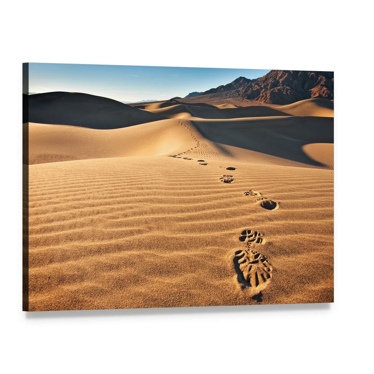 Mesquite Flat Sand Dunes View Canvas Wall Art, single panel gallery wrapped canvas, angled product view