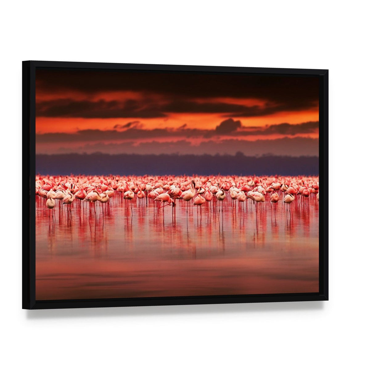 African Flamingos in Lake at Sunset Canvas Wall Art, framed canvas in a black floater frame, angled product view