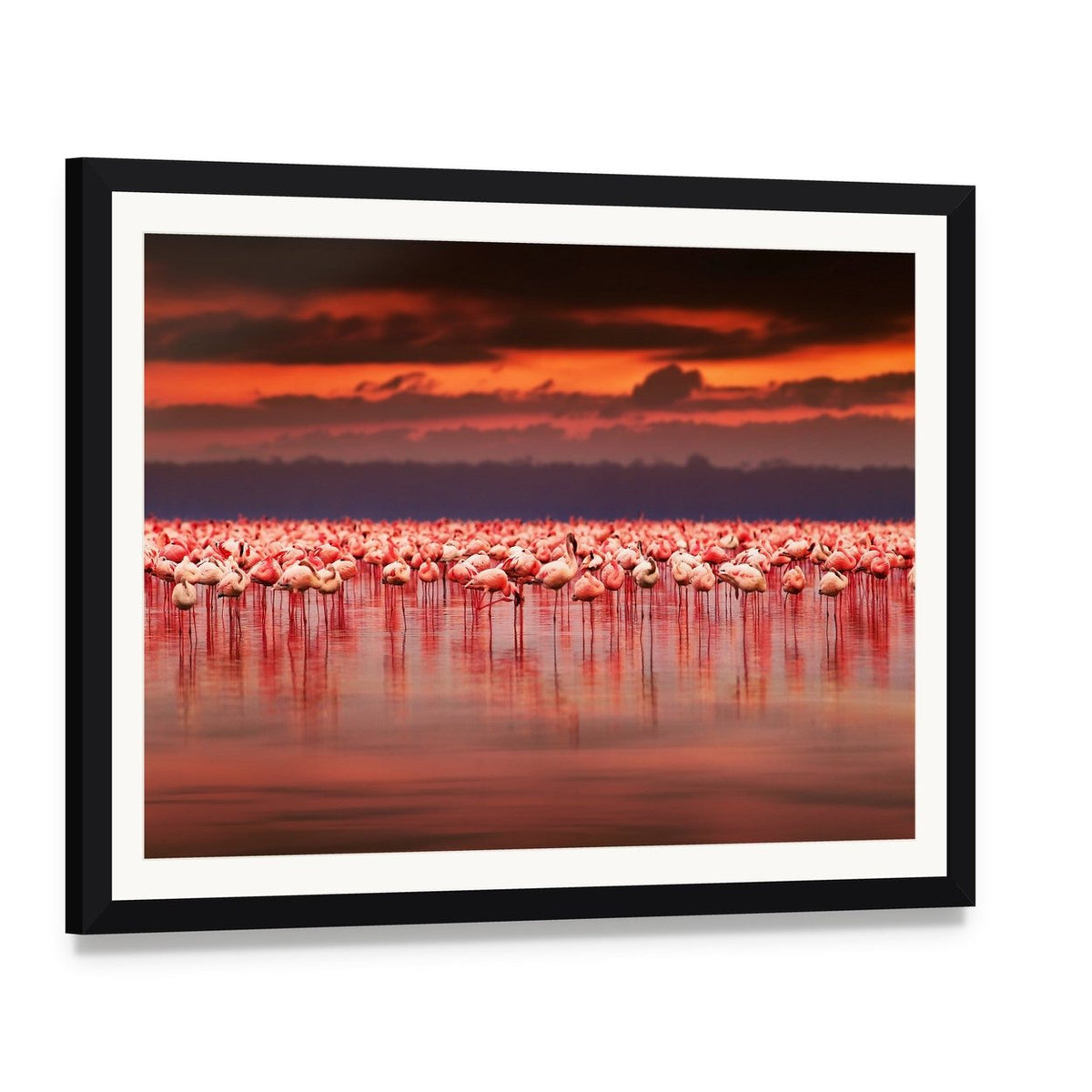 African Flamingos in Lake at Sunset Canvas Wall Art, framed print with white mat and black frame, angled product view