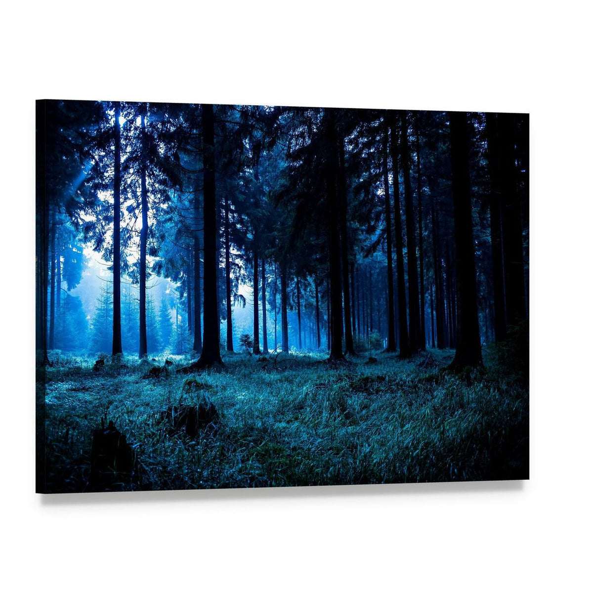 Misty Autumn Forest Landscape Canvas Wall Art, single panel gallery wrapped canvas, angled product view