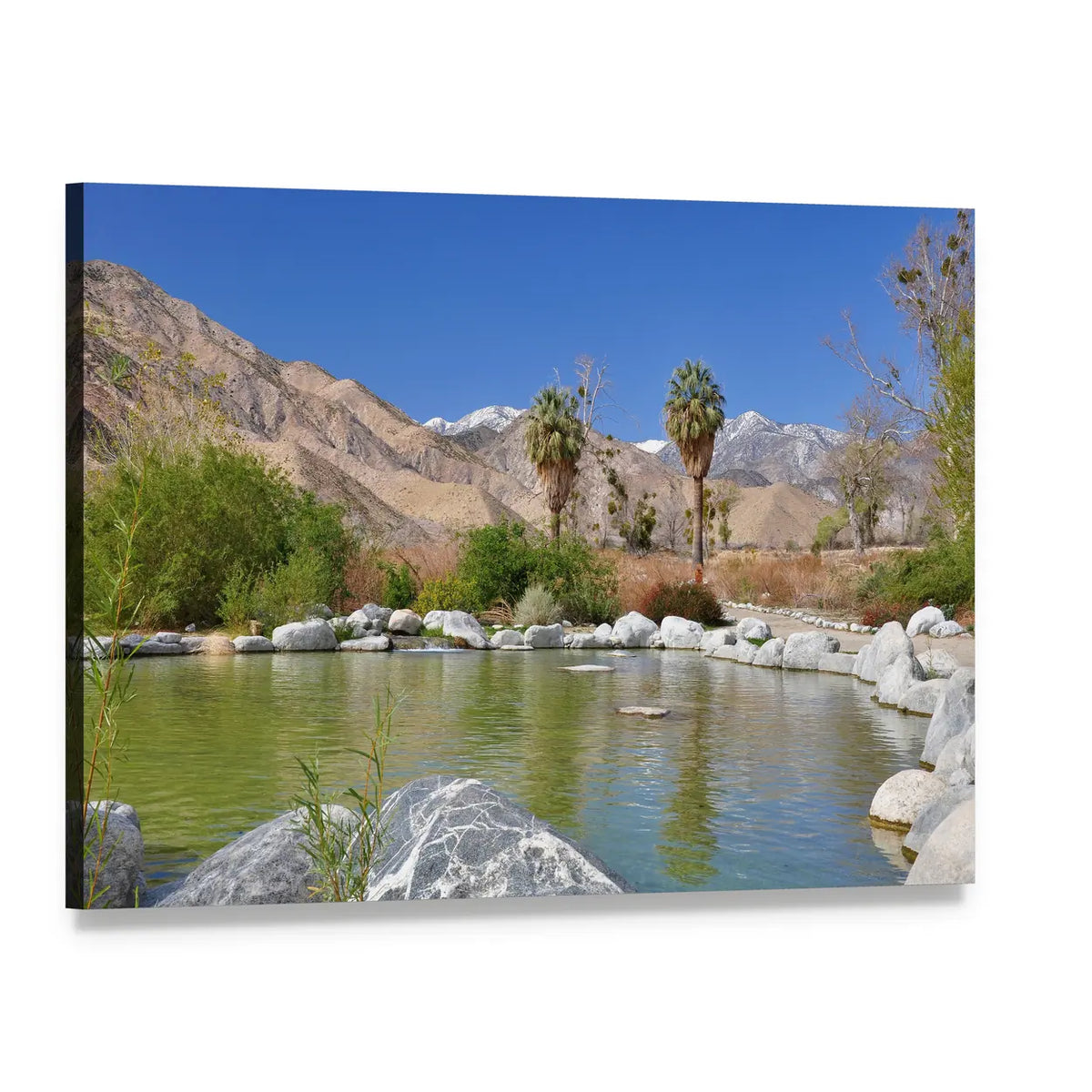 Pond in Desert Oasis Canvas Wall Art, single panel gallery wrapped canvas, angled product view