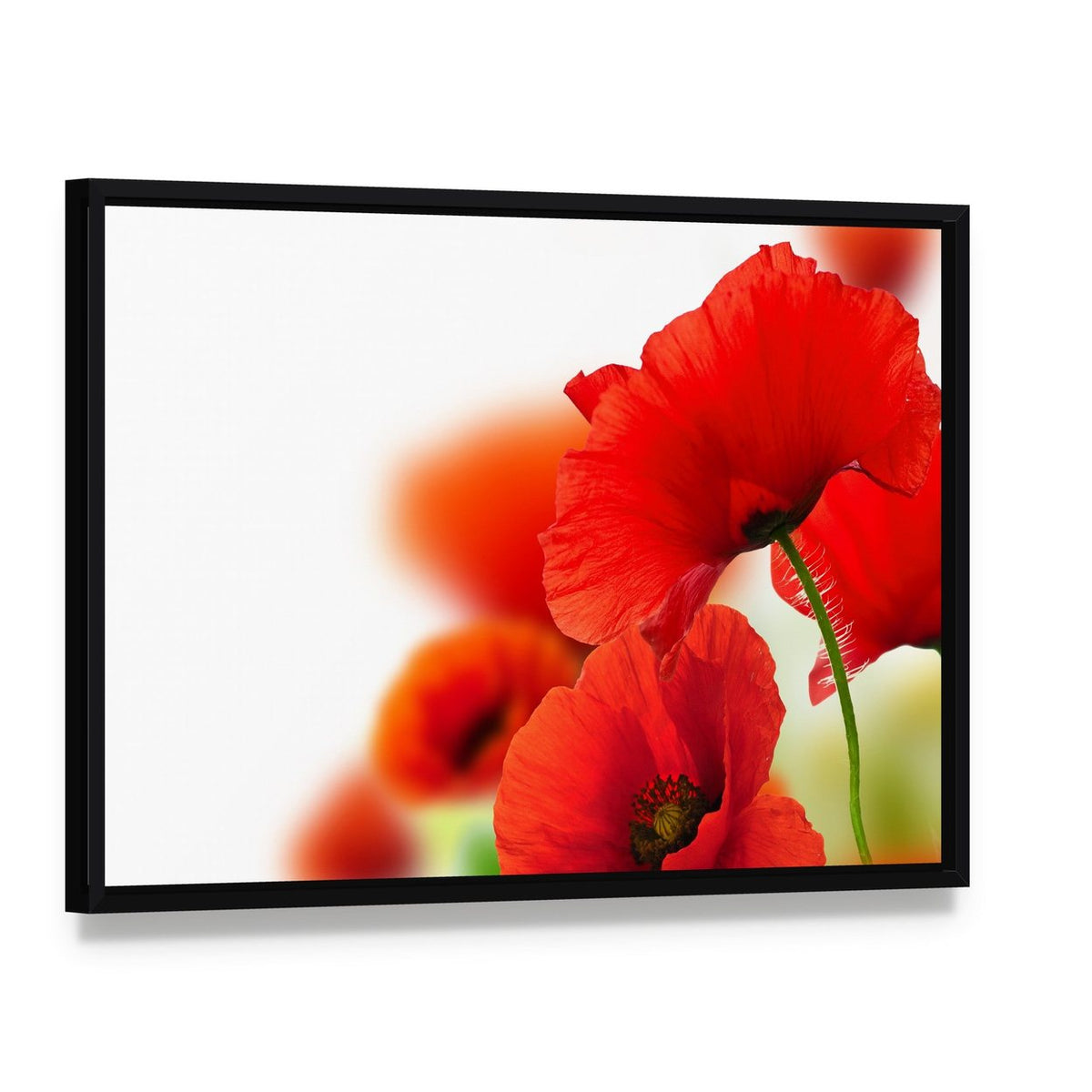Red Poppies Canvas Wall Art, framed canvas in a black floater frame, angled product view
