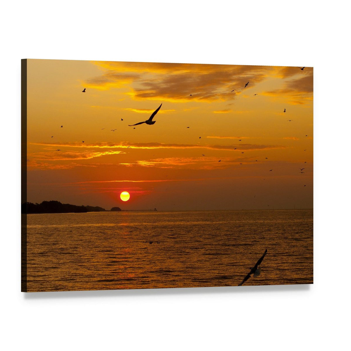 Seagull Silhouette at Sunset Canvas Wall Art, single panel gallery wrapped canvas, angled product view