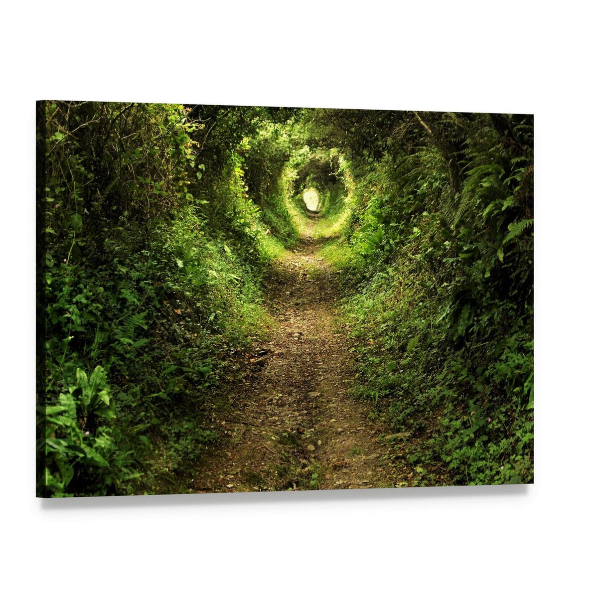 Sunlit Forest Tunnel Path Canvas Wall Art, single panel gallery wrapped canvas, angled product view