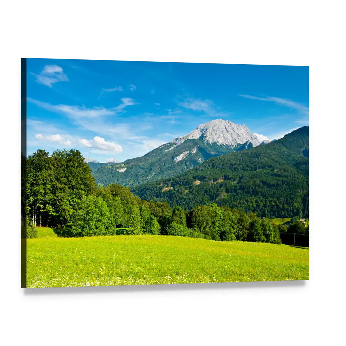 Snow-capped Mountain Over Green Meadow Canvas Wall Art, single panel gallery wrapped canvas, angled product view