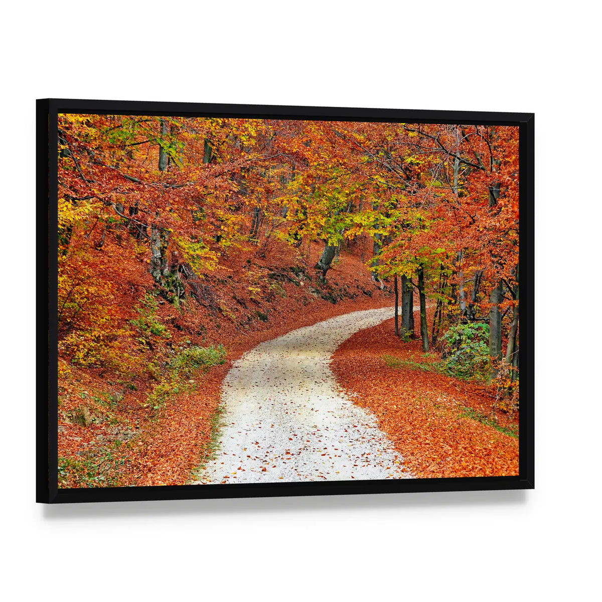 Autumn Misty Forest In Fall Canvas Wall Art, framed canvas in a black floater frame, angled product view