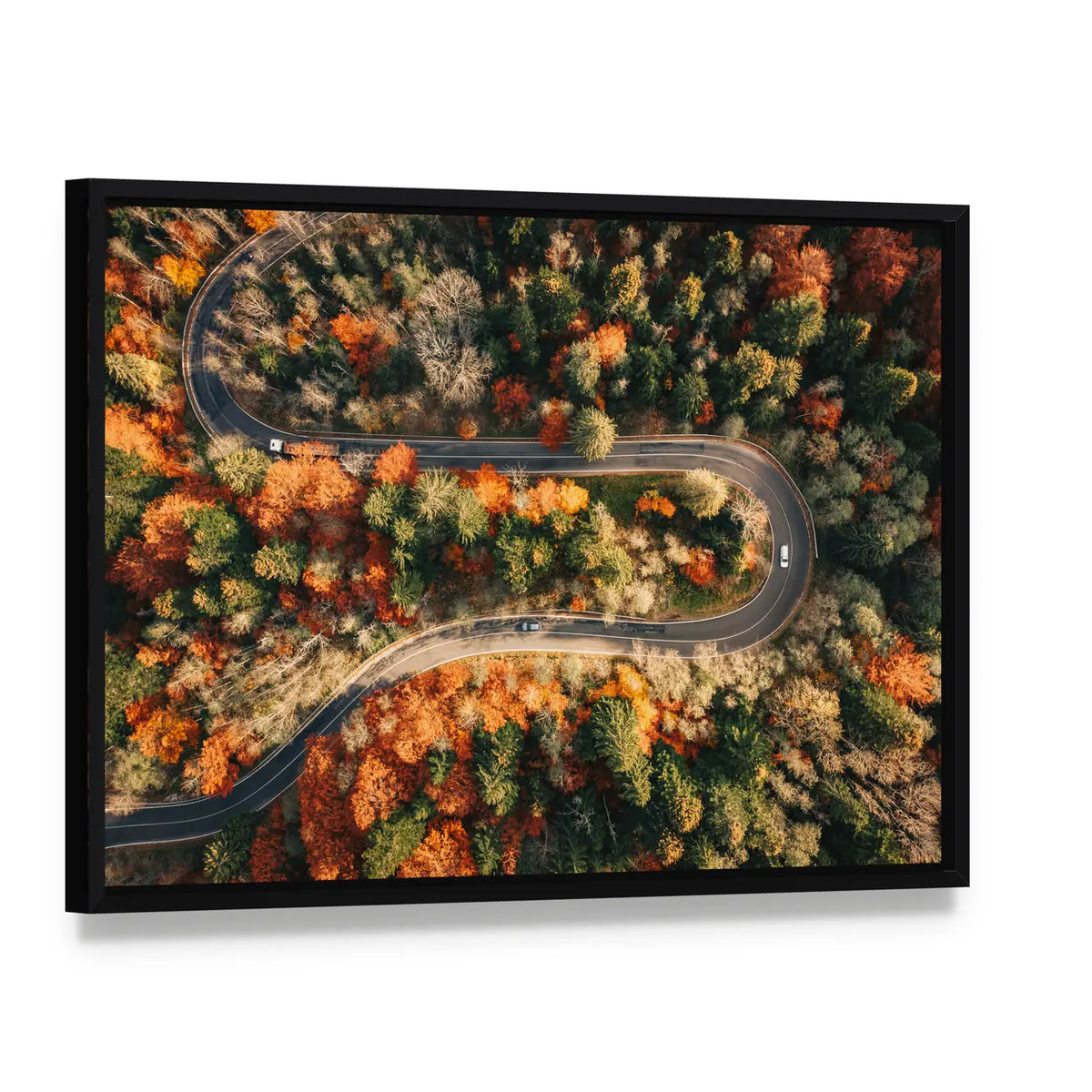 Winding Mountain Road Through Forest In Autumn Canvas Wall Art, framed canvas in a black floater frame, angled product view