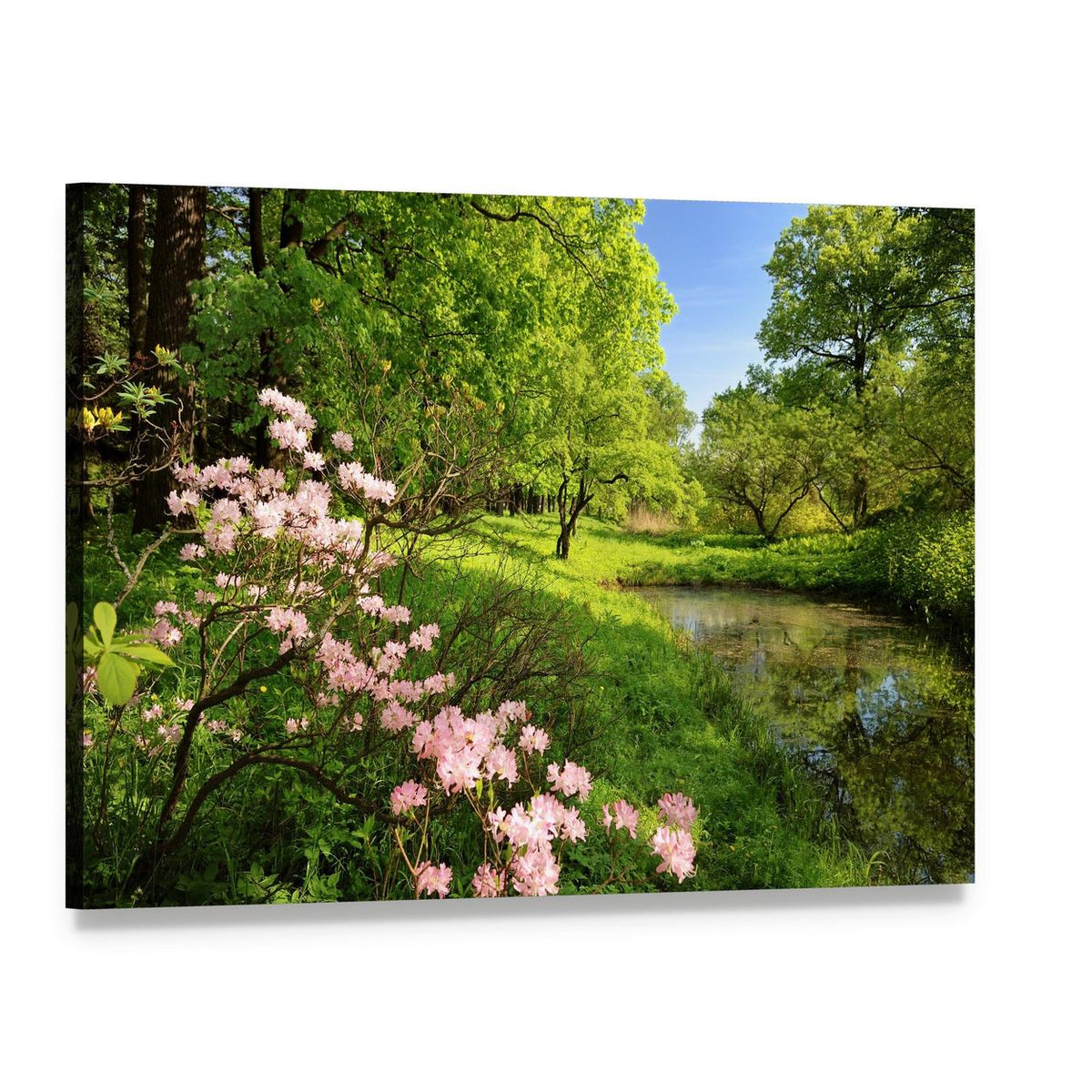 Spring Landscape with Pond and Rhododendron Canvas Wall Art, single panel gallery wrapped canvas, angled product view