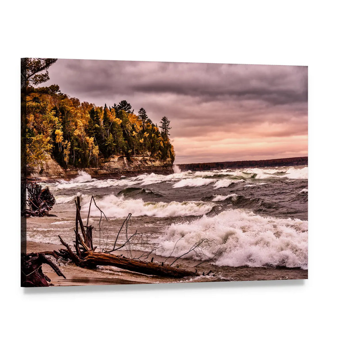 Driftwood on Autumn Lakeshore Canvas Wall Art, single panel gallery wrapped canvas, angled product view