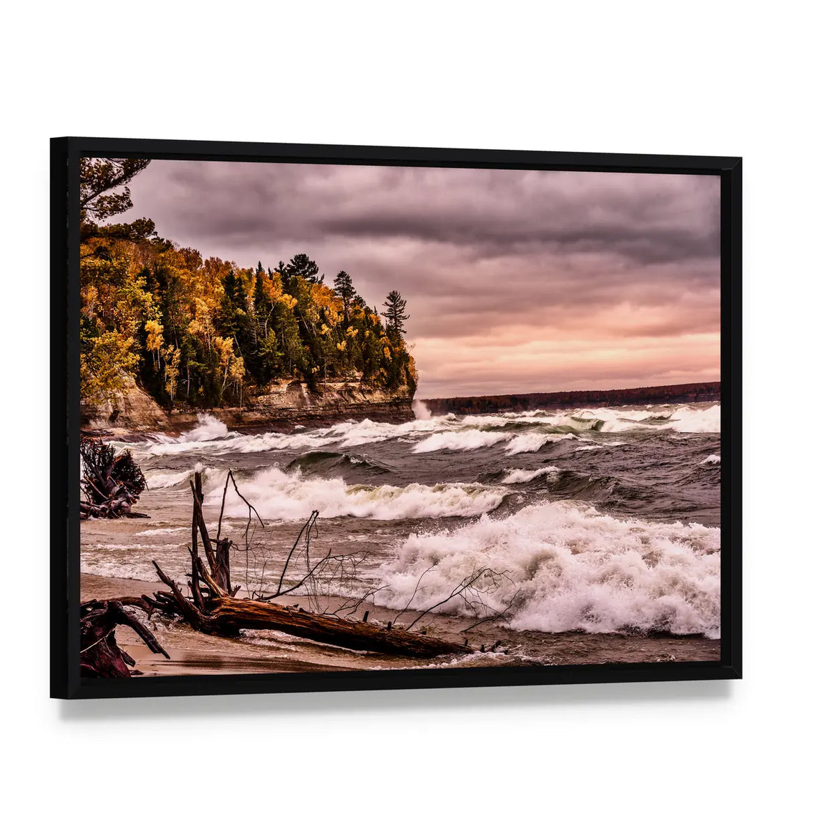 Driftwood on Autumn Lakeshore Canvas Wall Art, framed canvas in a black floater frame, angled product view
