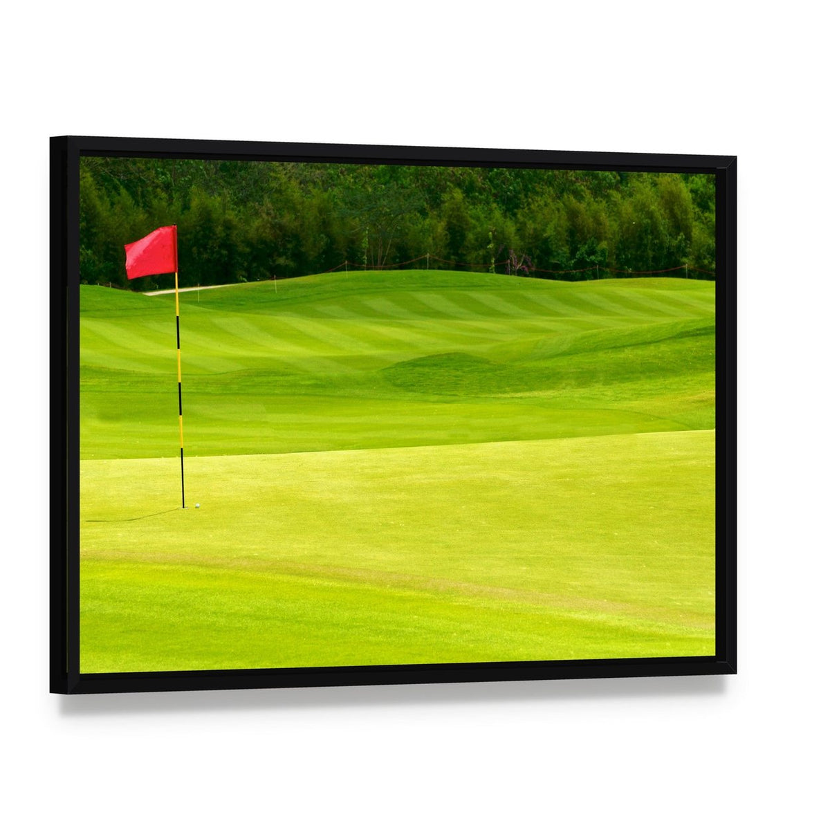 Golf Ball Near Hole Canvas Wall Art, framed canvas in a black floater frame, angled product view