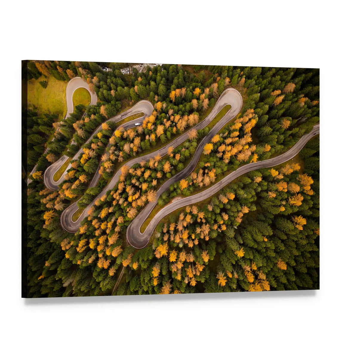 Curvy Road In Autumn Forest Canvas Wall Art, single panel gallery wrapped canvas, angled product view