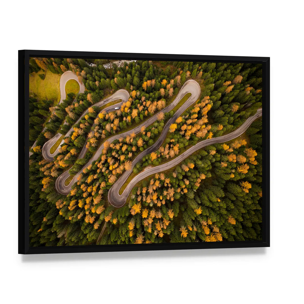 Curvy Road In Autumn Forest Canvas Wall Art, framed canvas in a black floater frame, angled product view