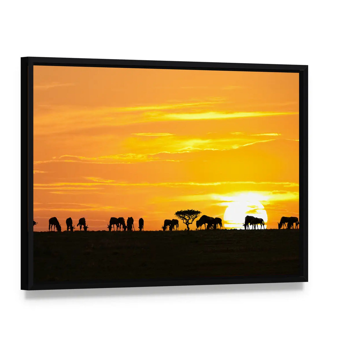 Sunrise In Serengeti National Park In Tanzania Canvas Wall Art, framed canvas in a black floater frame, angled product view