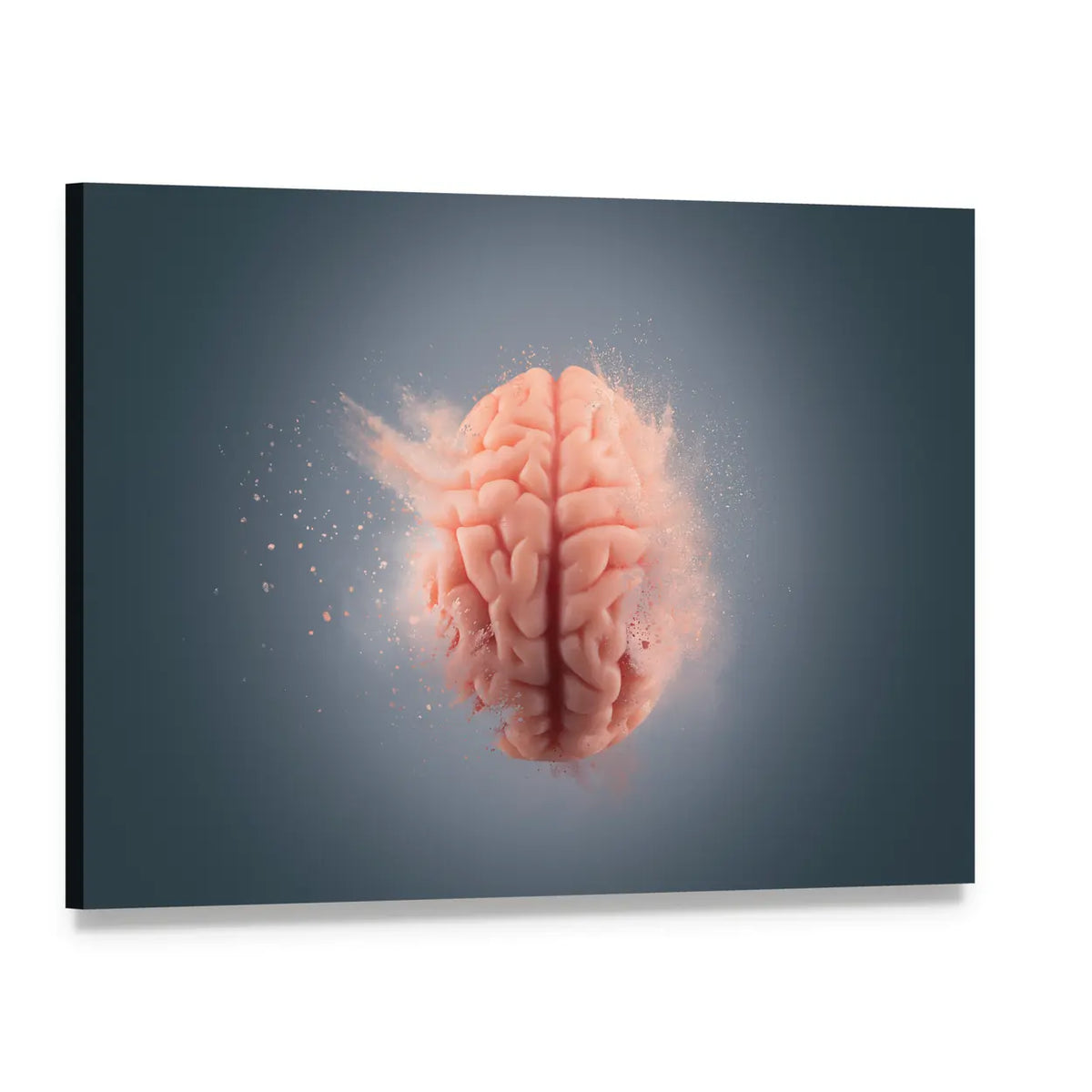 Floating Human Brain with Pink Powder Canvas Wall Art, single panel gallery wrapped canvas, angled product view